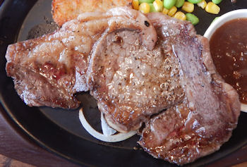 �K�X�g �����u���[�X�X�e�[�L