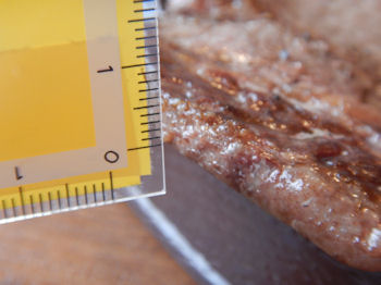 �K�X�g �����u���[�X�X�e�[�L