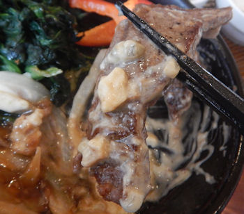 �K�X�g �X�e�[�L���C�V�t���C