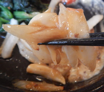 �K�X�g �X�e�[�L���C�V�t���C