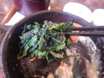 �K�X�g �X�e�[�L���C�V�t���C