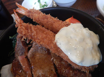 �K�X�g �X�e�[�L���C�V�t���C