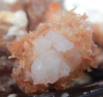 �K�X�g �X�e�[�L���C�V�t���C