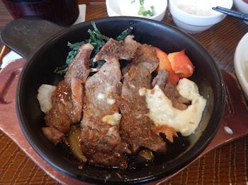 �K�X�g �X�e�[�L���C�V�t���C