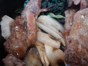 �K�X�g �X�e�[�L���C�V�t���C