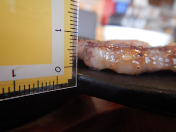 �K�X�g �X�e�[�L���C�V�t���C