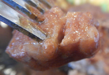 �K�X�g �r�[�t�V�`���[�̃n���o�[�O