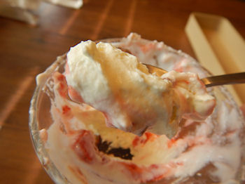 �K�X�g�@�������̃g���C�t��