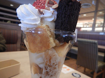 �K�X�g�@�������̃g���C�t��