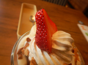 �K�X�g�@�������̃g���C�t��