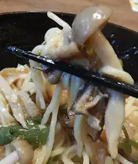 �K�X�g �C�V�_煓���