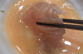 �K�X�g�@�����Ă�