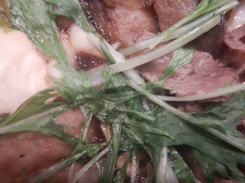 �K�X�g�@�����Ă�