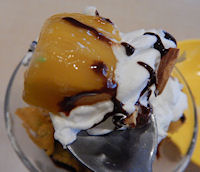 �K�X�g �����ƃ}���S�[�̃T���f�[