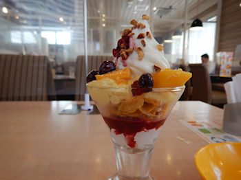 �K�X�g �}���S�[�T���f�[