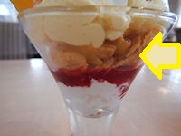 �K�X�g �}���S�[�T���f�[