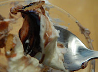 �K�X�g �������ƃW�����h�D�[���̃T���f�[