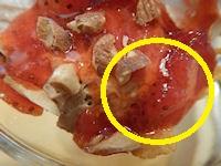 �K�X�g �������ƃW�����h�D�[���̃T���f�[