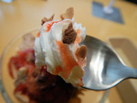 �K�X�g �������ƃW�����h�D�[���̃T���f�[