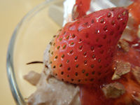 �K�X�g �������ƃW�����h�D�[���̃T���f�[