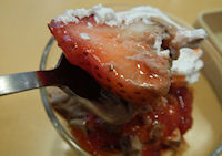 �K�X�g �������ƃW�����h�D�[���̃T���f�[