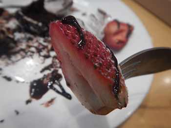 �K�X�g �������[�V���R���������Y��