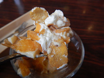 �K�X�g �i���X�̃v����