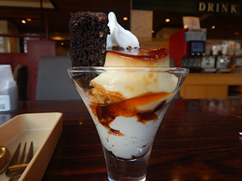 �K�X�g �i���X�̃v����