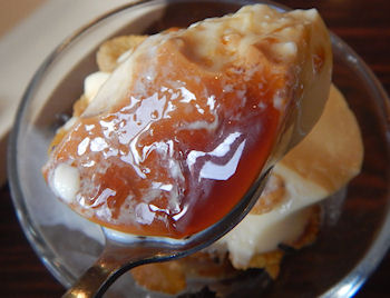 �K�X�g �i���X�̃v����