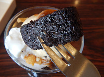 �K�X�g �i���X�̃v����