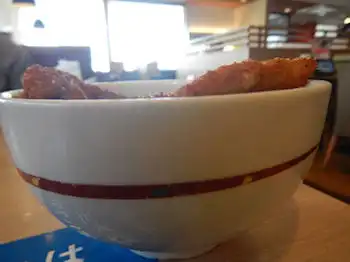 �K�X�g �^���J�c��