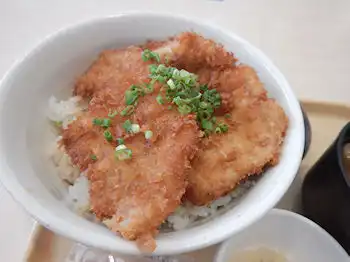 �K�X�g �^���J�c��