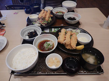 �K�X�g �Ƃ�V