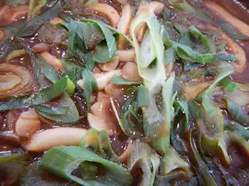 �K�X�g�@�J���[���ǂ�