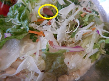 �K�X�g ��₵�����S�X���ǂ�