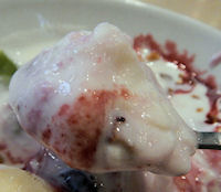 �K�X�g �t���[�c���[�O���g