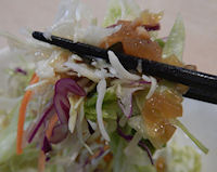 �K�X�g �t���[�c���[�O���g