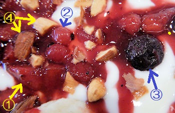 �K�X�g �t���[�c���[�O���g