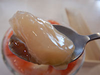 �K�X�g ��������t���[�c���[�O���g