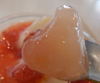 �K�X�g ��������t���[�c���[�O���g