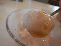 �K�X�g ��������t���[�c���[�O���g