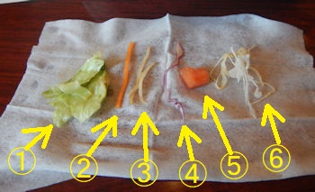 �K�X�g ���Ҍ{